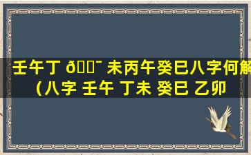 壬午丁 🐯 未丙午癸巳八字何解（八字 壬午 丁未 癸巳 乙卯）